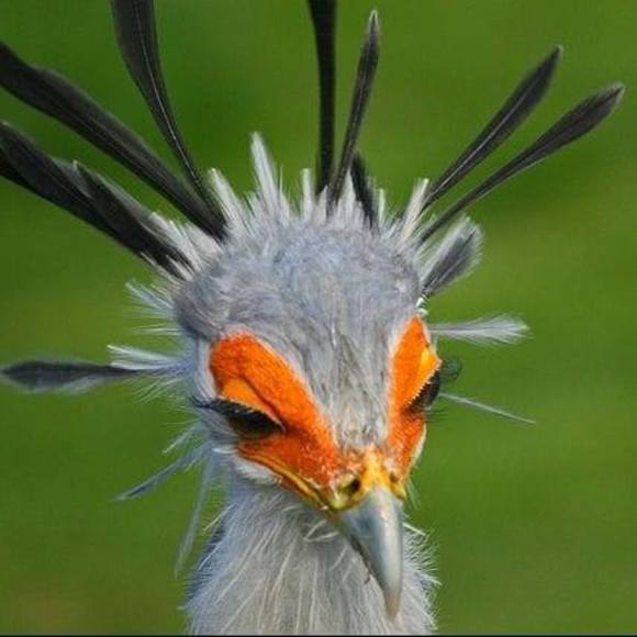 Meet your Posher, France - Picture 1 of 1